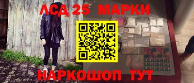 jwh Бийск