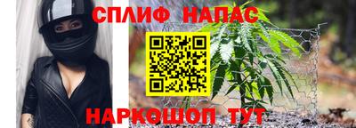 jwh Бийск
