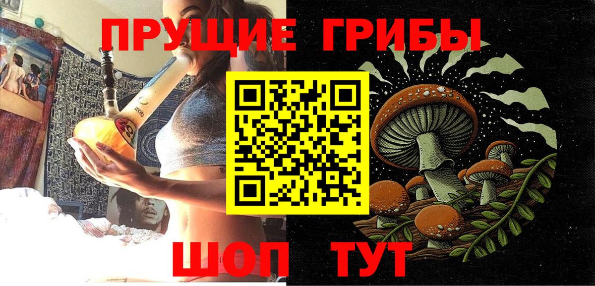 Псилоцибиновые грибы Psilocybe  Вход с VPN  Ирбит 